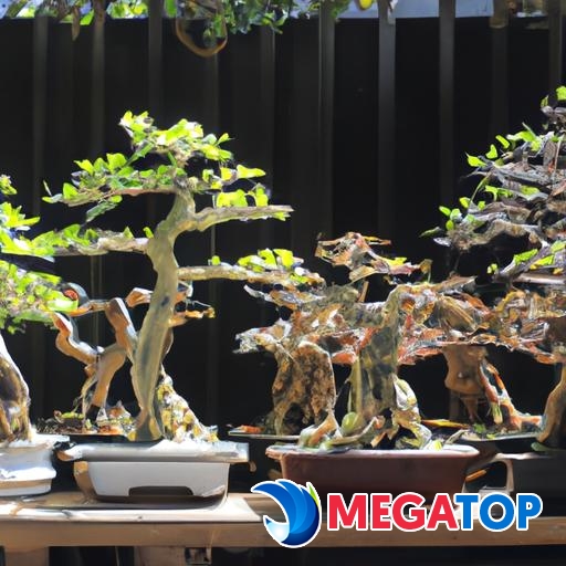 Cây cảnh bonsai đẹp với nhiều kích thước và hình dáng khác nhau
