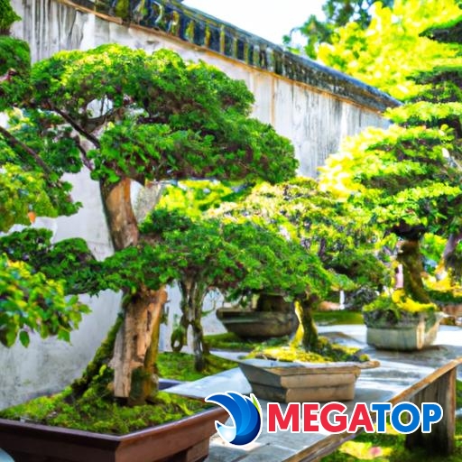 Một khu vườn thanh bình với những cây bonsai sân vườn được bày trí tinh tế.