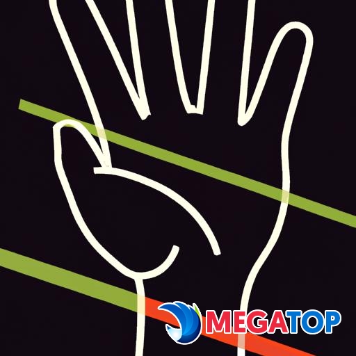 Một bức ảnh thể hiện lòng bàn tay của một người với những đường nét và dấu hiệu khác nhau.