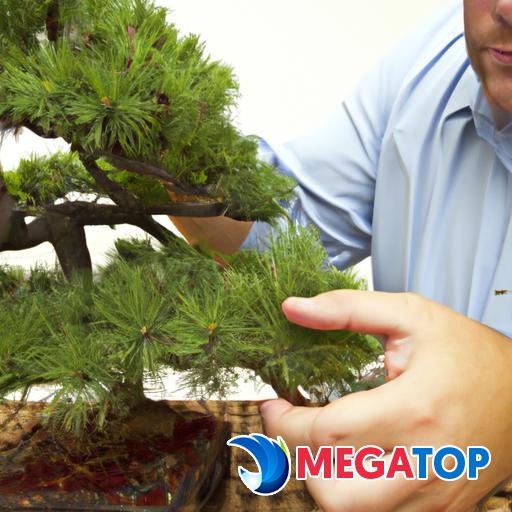 Kiểm tra cây bonsai để phòng tránh sâu bệnh và côn trùng