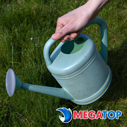 Người nắm giữ một can nước, nhẹ nhàng tưới nước cho một mảng cỏ.