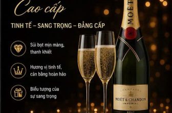 Top 10 Dòng Rượu Vang Nhập Khẩu Được Yêu Thích Tại Việt Nam