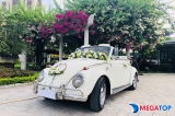 Top 10 công ty cho thuê xe hoa tuyệt đẹp tại Hà Nội